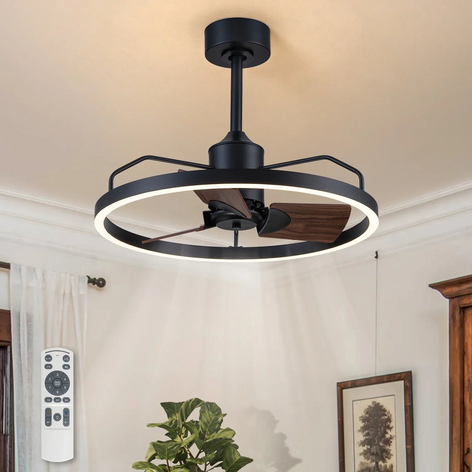 Ceiling Fan