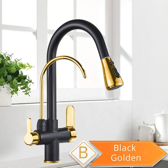 Rozin Filter Water Kitchen Faucet 2 in 1 Antique Brass Pull Out Nozzle Kitchen Purification Crane 2 Ways Swivel Mixer Tap